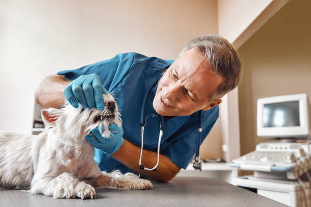 Best Weekend Emergency Dentist in Roswell, NM